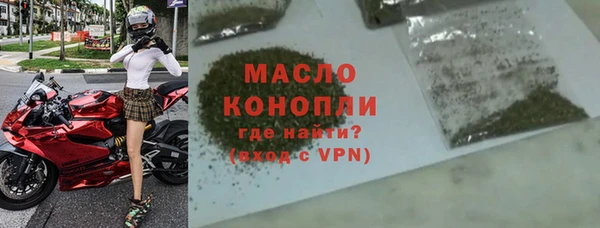 молекула духа Елизово