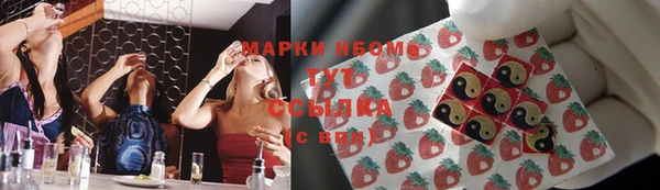 ECSTASY Ельня