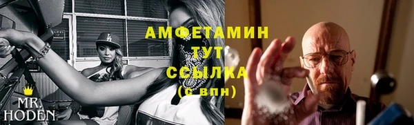 ECSTASY Ельня