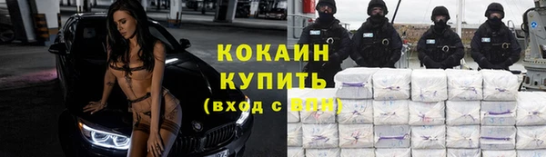 молекула духа Елизово