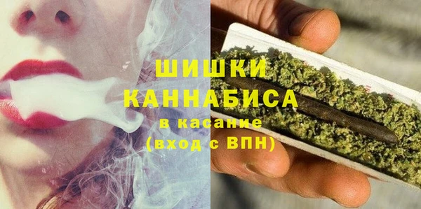 ПСИЛОЦИБИНОВЫЕ ГРИБЫ Елабуга