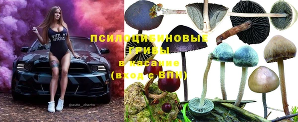 ПСИЛОЦИБИНОВЫЕ ГРИБЫ Елабуга