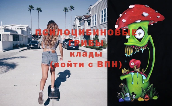 ECSTASY Ельня
