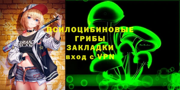 молекула духа Елизово