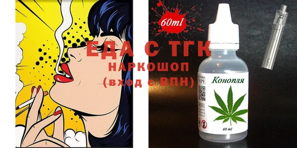ECSTASY Ельня