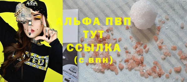 ECSTASY Ельня