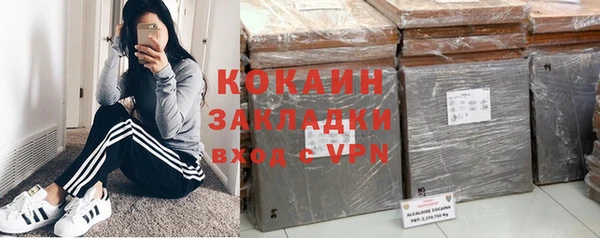 молекула духа Елизово