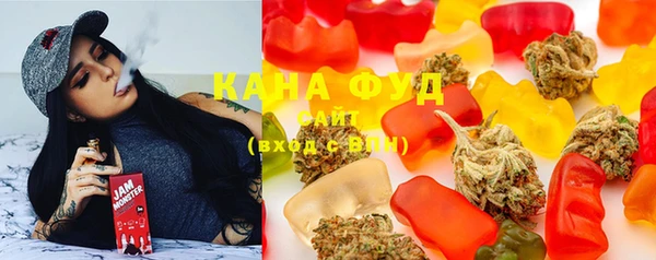 ECSTASY Ельня