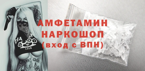молекула духа Елизово
