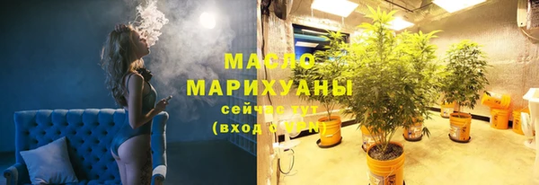 молекула духа Елизово