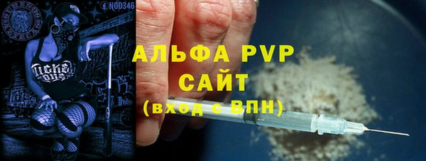 ECSTASY Ельня