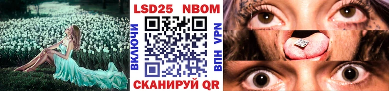 Купить закладки  Суздаль  Марки NBOMe 1,5мг 