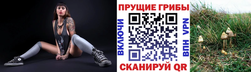 Галлюциногенные грибы GOLDEN TEACHER  Купить закладки  Суздаль 